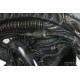 SIDESHOW Alien Warrior 1:1 Life-Size Bust